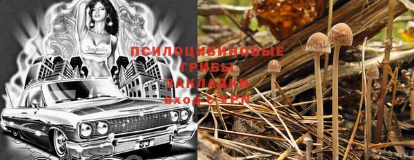 прущая мука Абдулино
