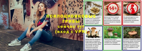 гидра Алексин