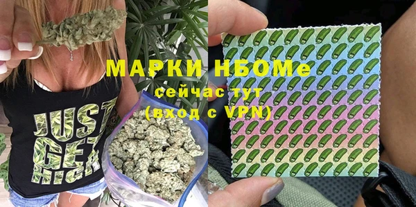 гидра Алексин