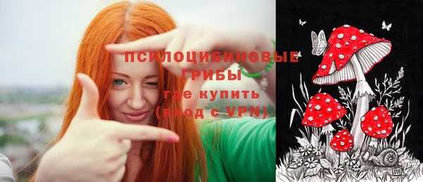 прущие крисы Алексеевка
