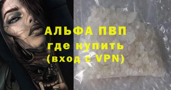 гидра Алексин