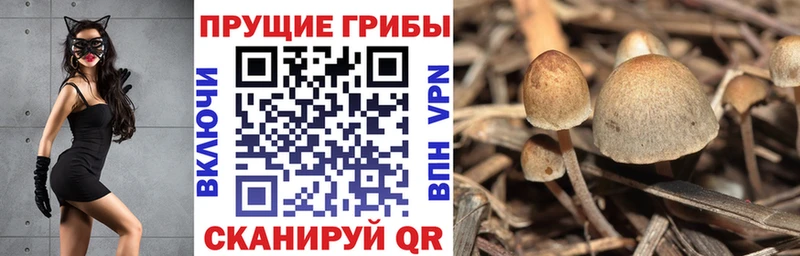 Псилоцибиновые грибы Magic Shrooms  KRAKEN зеркало  Обоянь 